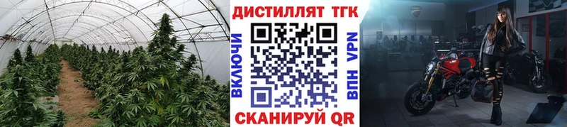 ТГК гашишное масло  дарк нет формула  Северская 